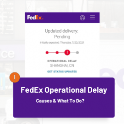 FedEx Operational Delay: Causes & What To Do? (Fedex 2022 Guide)